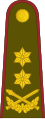 Generolas majorascode: lt is deprecated (Lithuanian Land Forces)[38]