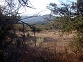 Typische Landschaft zwischen Ensenada und Real de Castillo