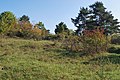 Deutsch: Naturschutzgebiet Heulerberg in Vaihingen an der Enz. English: Nature reserve Heulerberg in Vaihingen an der Enz in the German Federal State Baden-Württemberg.