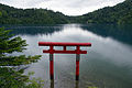 大蛇神社の鳥居