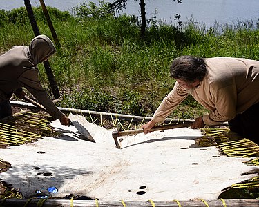 A photograph of a traditional activity of the Atikamekw First Nation uploaded during the Nistakinan in pictures contest