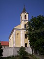 Roman catholic church