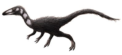 Procompsognathus