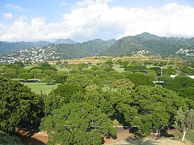 Image illustrative de l'article Punchbowl Crater