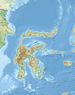 Gempa bumi Sulawesi Tengah 1996 di Sulawesi