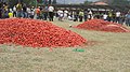 Tomatina festivsli