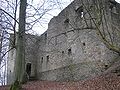 Ruin of Burg Bramberg