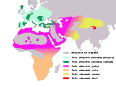 Área de distribución das subespecies de Felis silvestris. Felis silvestris silvestris, en verde claro, distribución historica; en verde escura, a actual