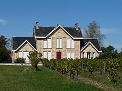 Skyline of Saint-Vivien-de-Blaye