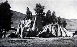 Bundles of dried papyrus being loaded onto a lorry. Mallaha, circa 1936.