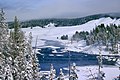 Yellowstone'da kış