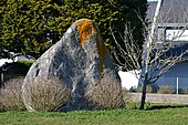 Menhir de Rhun