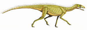 Miniatura para Silesauridae