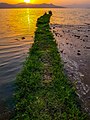 Tarbela lake 1 .