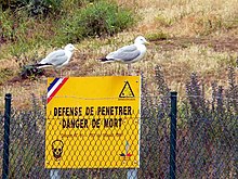 Panneau jaune "défense de pénétrer, danger de mort" sur lequel se tiennent deux goélands. Fils barbelés au premier plan.