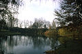 Nadelburg, Villateich, Blick vom Inselzugang über die Aufschüttung zur Theresienkirche (um 1982)