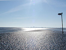 Mudflat near Cuxhaven.