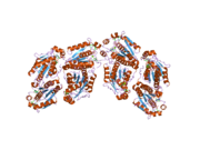 2ofw: Crystal structure of the APSK domain of human PAPSS1 complexed with 2 APS molecules