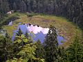 Nationalpark Schwarzwald