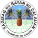 Official seal of Calauan