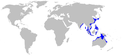 Range of the brownbanded bamboo shark