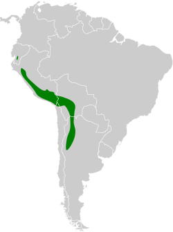 Distribución geográfica del pitajo gris.