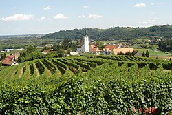 pogled na Zavrč