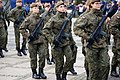 Poland. Beige Beret of the Territorial Defence Force