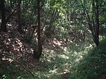 Takiyama Castle ruins