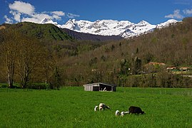 Oust, dans l'ouest du département.