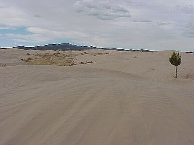 Little Sahara Sand Dunes