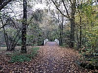 Het Stadspark, herfst 2021