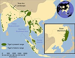 虎以前嘅分佈（黃色部分）同2006年分布（綠色部分）[2]