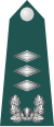 上尉（大尉）