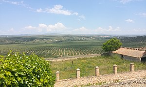 Vega del Guadalquivir, frente al castillo