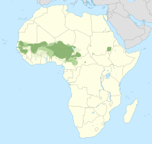 Fula language map.svg