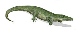 Miniatura para Proterosuchus