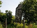 Ruins of Plešivec castle