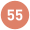 pictogramme 55