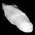 An irregularly shaped oblong body is fully illuminated. It is elongated in the direction from the top left to bottom left. Its surface is covered by craters.