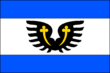 Vlag