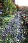 Bahnhof Mörtelstein, ehemalige Gleistrasse mit Bahnsteig