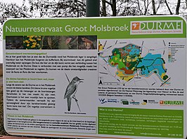 Molsbroek