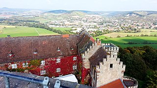 Blick vom Schloss Saaleck auf Hammelburger Weinberge