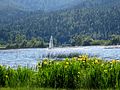 Cerkniško jezero