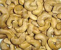 Cashew nuts (Anacardium occidentale)