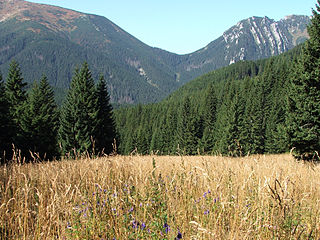 Превој у Татрама (Орнак, Пољска)