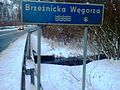 Brzeźnicka Węgorza – tabliczka i widoczna struga