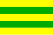 Vlag