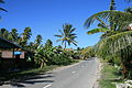 Calle principal de Funafuti, vista hacia el sur.